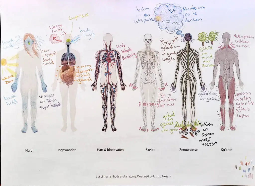 Bodymap